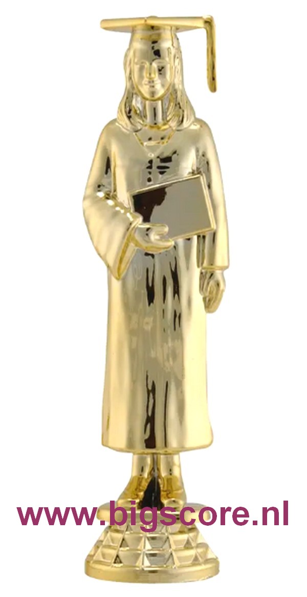 Diploma/Geslaagd Studente Figuur 566 Goud